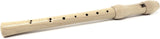 Recorder childrens musical instrument