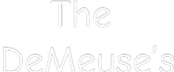 Custom Neon Light The
DeMeuse’s