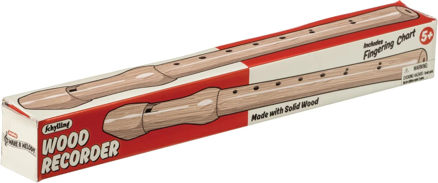 Recorder childrens musical instrument