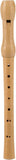 Recorder childrens musical instrument