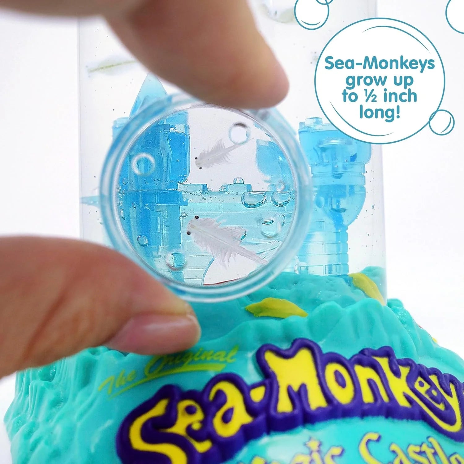 Sea Monkeys Magic Castle Worlds Only Instant Pets Ages 6 Pack of 1