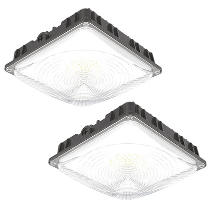 Canopy Light - CPA Series 2 Pack, 8568lumens, Selectable Wattage&CCT, AC 120-277V
