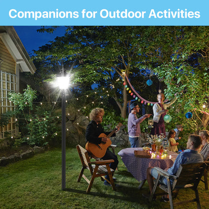 Post Top Light - TP350 Series, 10800lumens, Selectable Wattage&CCT, AC 120-277V, Photocell Optional,Wide Lighting Coverage