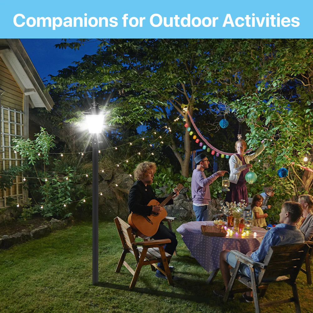Post Top Light - TP350 Series, 6500lumens, Selectable Wattage&CCT, AC 120-277V, Photocell Optional,Wide Lighting Coverage