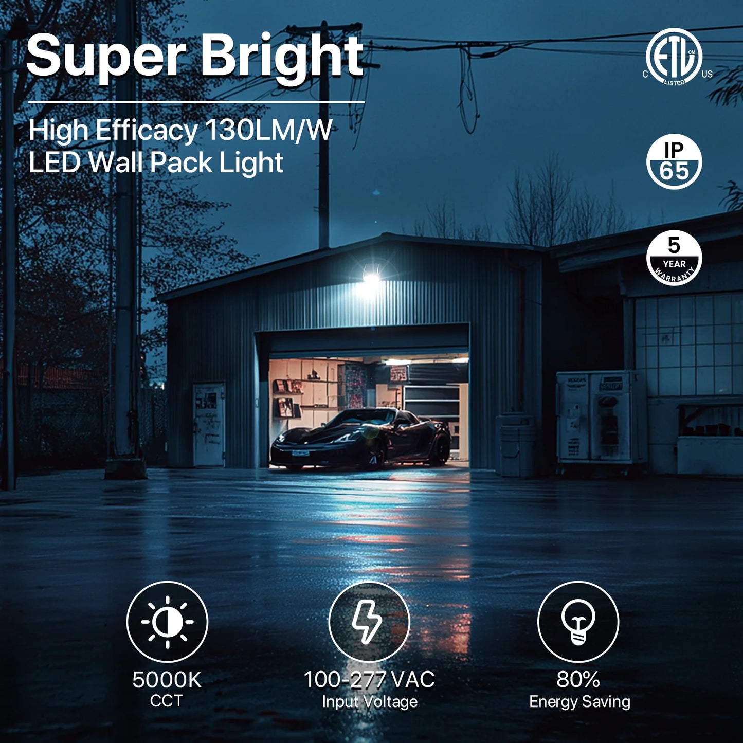 Wall Pack Light - Wall E series - Outdoor Lighting - 100W