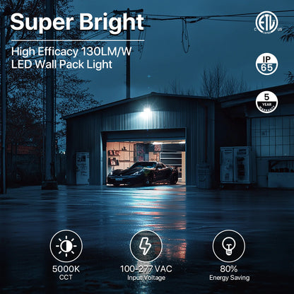 Wall Pack Light - Wall E series - Outdoor Lighting - 100W