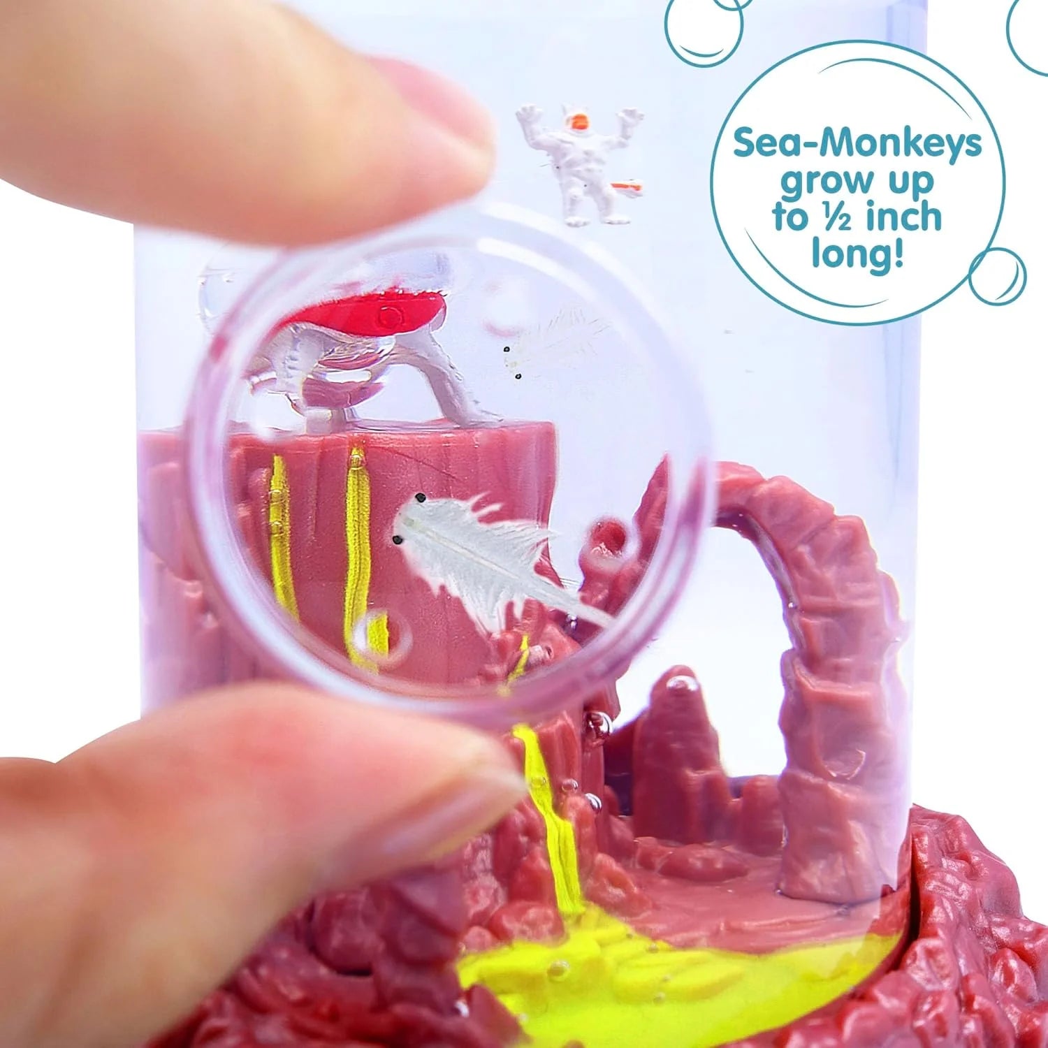 Sea Monkeys On Mars Worlds Only Instant Pets Ages 6 Pack of 1