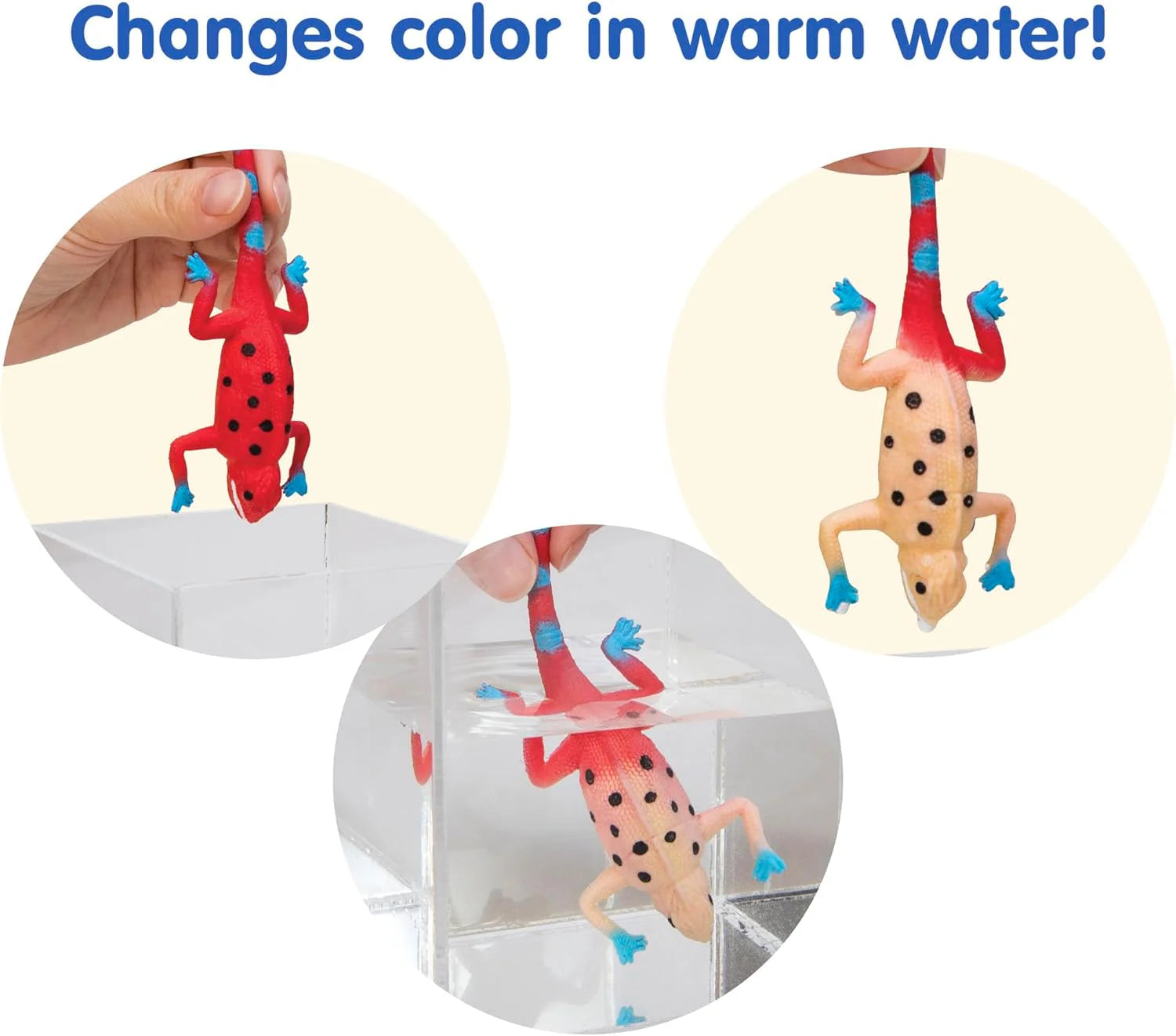 Color Changing Revealeons Toy 1 EA