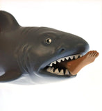 SC Chomp Shark Assorted Designs and Colours